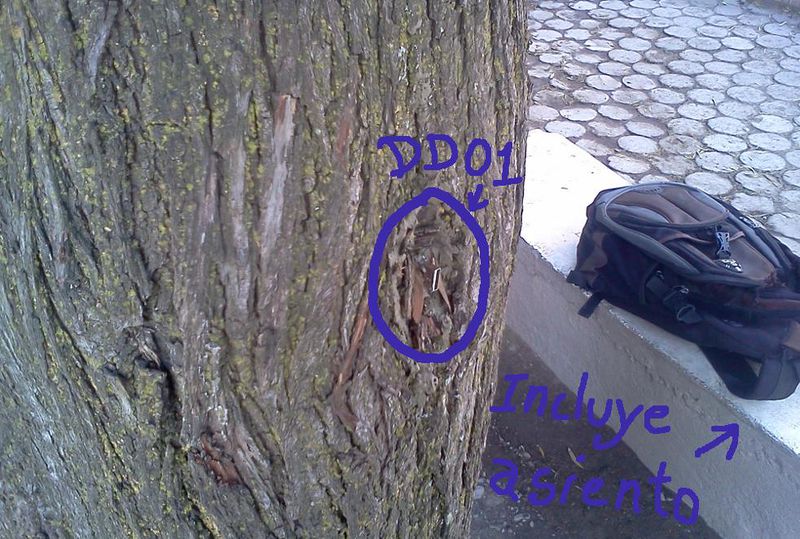  Figura 1. Deaddrop colocado en un &aacute;rbol.